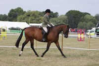 Chertsey Show 2018, Sunday