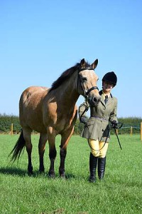 Bucks Counties Spectacular Show